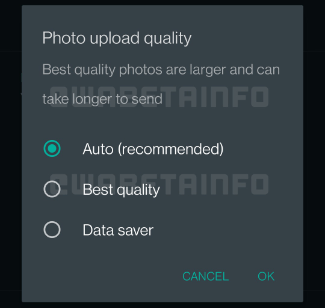 Imagen - WhatsApp permitir&aacute; compartir fotos sin perder calidad