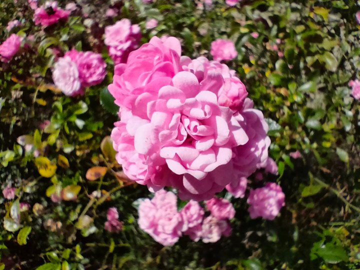 Imagen - Realme GT Master Edition, análisis con opinión y precio