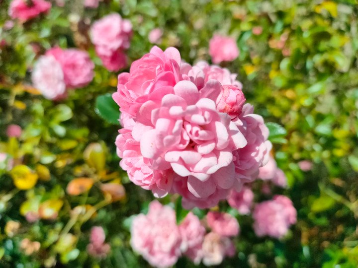 Imagen - Realme GT Master Edition, análisis con opinión y precio