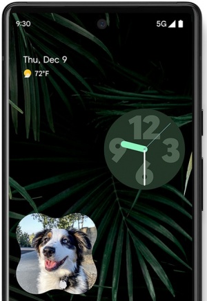 Imagen - Google Fotos ya muestra recuerdos con tu mascota