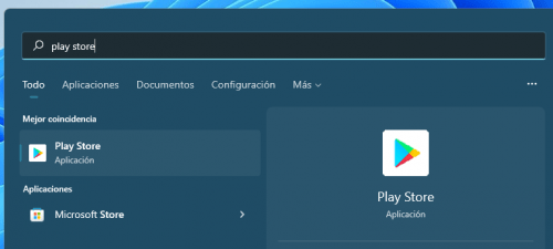 Imagen - Cómo instalar Google Play Store en Windows 11