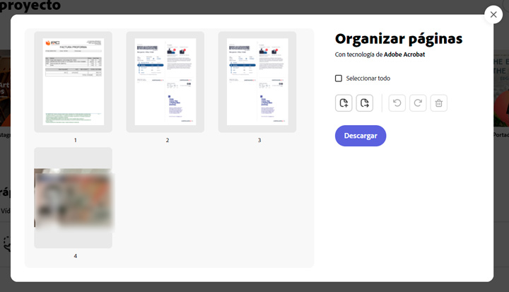 Imagen - Adobe Creative Cloud Express se actualiza: novedades