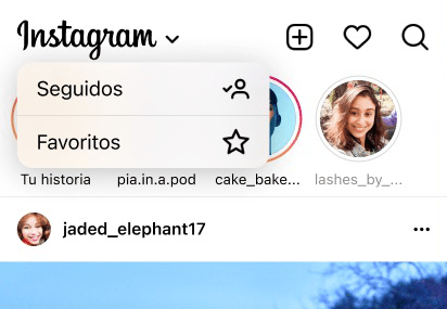 Imagen - Instagram a&ntilde;ade feed cronol&oacute;gico y de favoritos