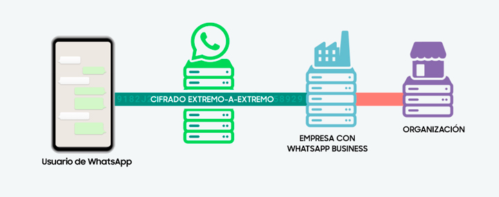 Imagen - Cómo funciona el cifrado de WhatsApp