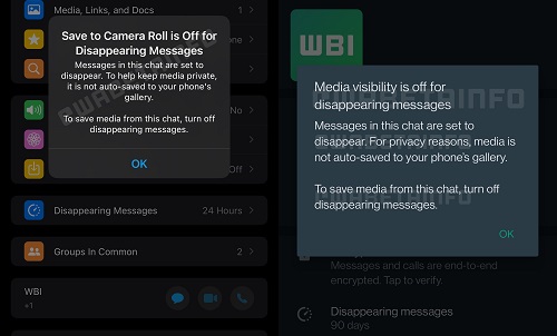 Imagen - WhatsApp no guardar&aacute; las fotos temporales y mejora dibujar