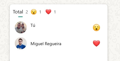 Imagen - WhatsApp Desktop 2.2223.11.70: descarga y novedades