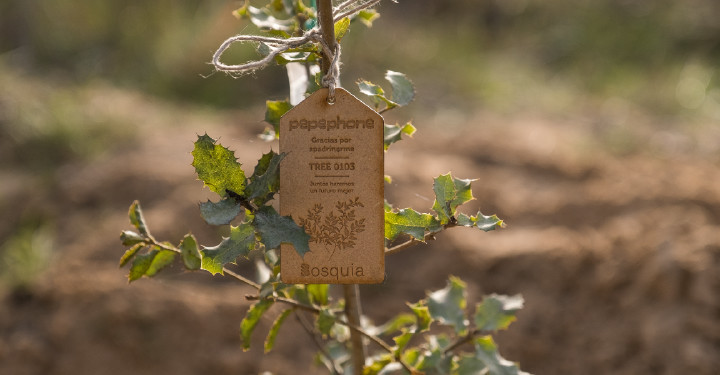 Imagen - As&iacute; es el bosque de Pepephone gracias a sus clientes