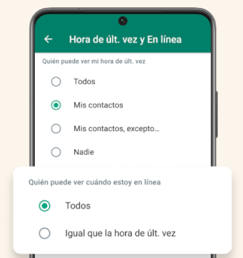 Imagen - WhatsApp 2.22.16.75: descarga y novedades