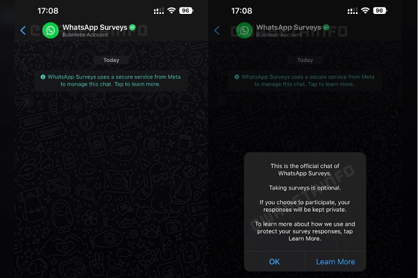 Imagen - WhatsApp te pedirá tu opinión mediante un chat de encuestas