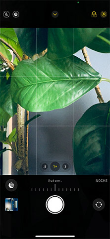 Imagen - 7 consejos para sacar mejores fotos con tu iPhone