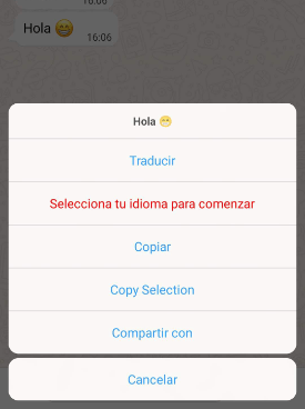Imagen - WhatsApp Fouad iOS v9.41: descarga y novedades