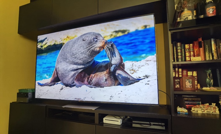 Imagen - TCL 65C835, análisis con opinión y precio