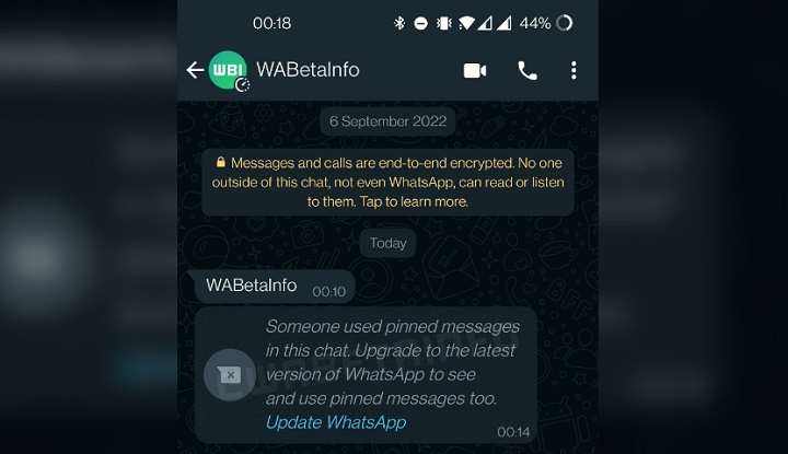 Imagen - WhatsApp beta 2.23.3.17 para Android: descarga y novedades