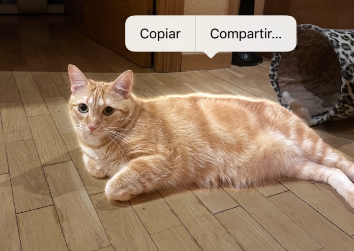 Imagen - WhatsApp añade un editor de stickers en iOS 16