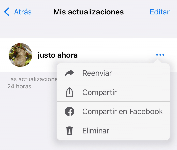 Imagen - WhatsApp permitirá compartir los Estados en Facebook
