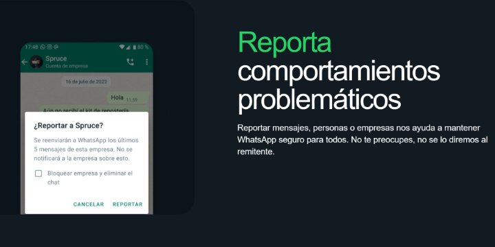 Imagen - WhatsApp lanza un &quot;Centro de seguridad&quot; para ayudarte a protegerte