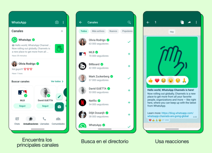 Imagen - Canales de WhatsApp: qué son, cómo funcionan y cómo unirse