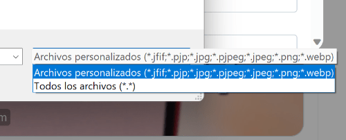 Imagen - ¿Por qué no aparece un archivo cuando lo intento subir a una web?