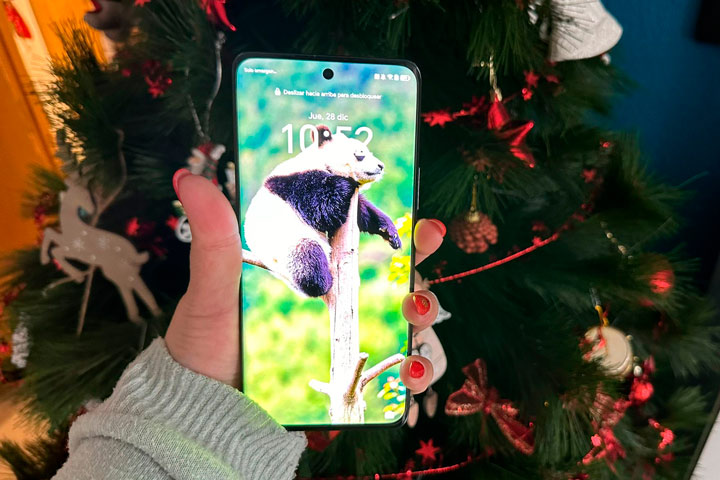 Imagen - Honor Magic 6 Lite, análisis con opinión y precio