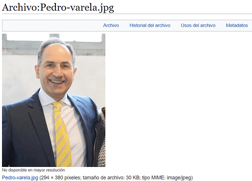 Imagen - 10 alternativas a la Wikipedia