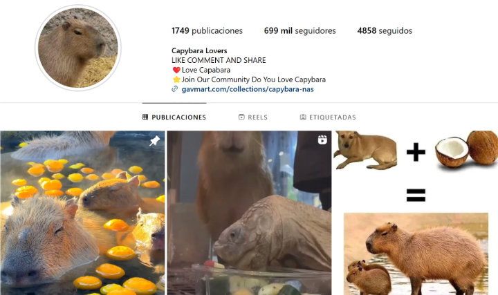 Imagen - 18 mejores cuentas de memes en Instagram