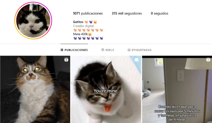 Imagen - 18 mejores cuentas de memes en Instagram