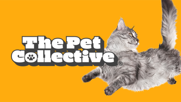 Imagen - Tivify a&ntilde;ade los canales Fail Army, The Pet Collective, People Are Awesome y WeatherSpy