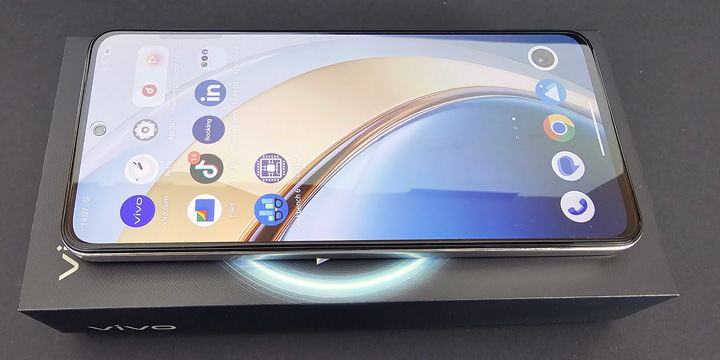 Imagen - Vivo V40 SE 80W, análisis con opinión y precio
