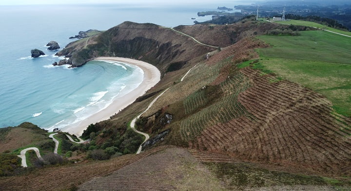 Imagen - ¡Casi 12.000 árboles plantados! El bosque de Pepephone está repoblando los montes
