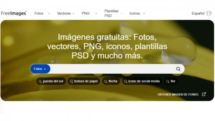 Imagen - 12 webs donde encontrar imágenes Creative Commons