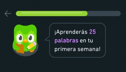 Imagen - Duolingo: tutorial completo de cómo aprender un idioma con esta app