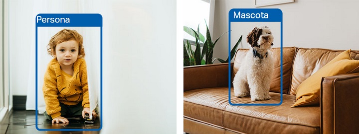 Imagen - Tu casa m&aacute;s segura con Tapo: c&oacute;mo crear un sistema de videovigilancia