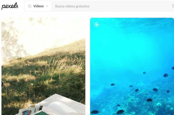 Imagen - 8 webs para descargar vídeos sin derechos de autor