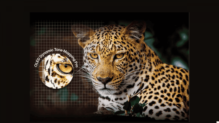 Imagen - LG OLED Evo M5: el televisor 4K con imagen inalámbrica