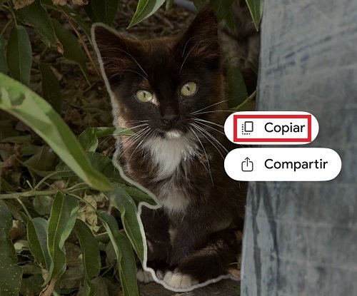 Imagen - Cómo crear stickers con Google Fotos para WhatsApp