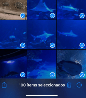 Imagen - ¿Cuántas fotos se pueden compartir a la vez en WhatsApp?