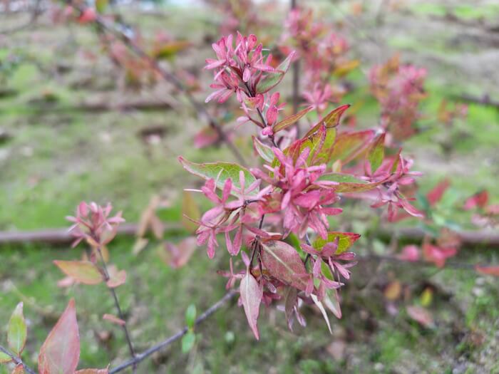 Imagen - An&aacute;lisis del Oppo Find X9 Pro tras un mes de uso: opiniones y conclusiones