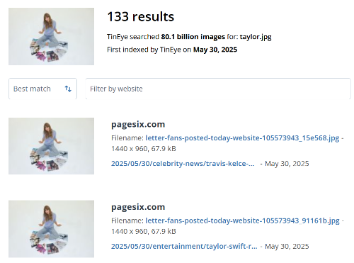 Imagen - TinEye hace una b&uacute;squeda inversa de im&aacute;genes bas&aacute;ndose en una foto