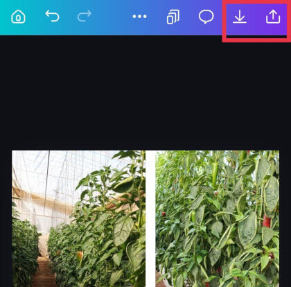 Imagen - C&oacute;mo unir dos fotos desde el m&oacute;vil