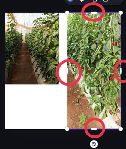 Imagen - C&oacute;mo unir dos fotos desde el m&oacute;vil