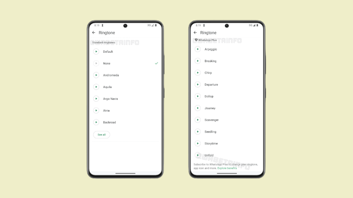Imagen - WhatsApp Plus es la nueva versi&oacute;n de pago que prepara la app