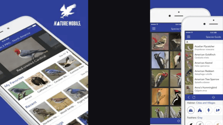 Imagen - 118 apps y juegos de pago en iPhone gratis [semana 17 2026]