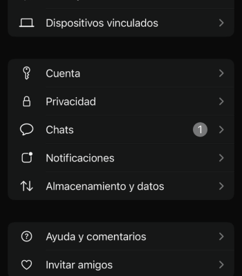 Imagen - Cambiar de c&aacute;mara en una videollamada de WhatsApp no funciona: posibles soluciones