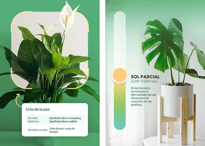 Imagen - 8 apps para cuidar tus plantas