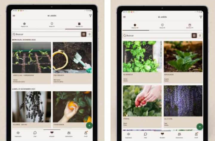 Imagen - 8 apps para cuidar tus plantas