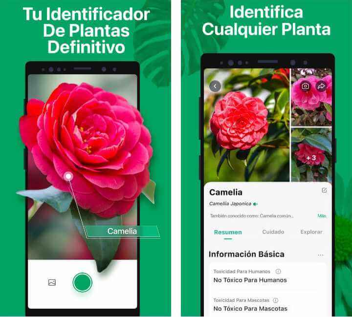 Imagen - 8 apps para cuidar tus plantas