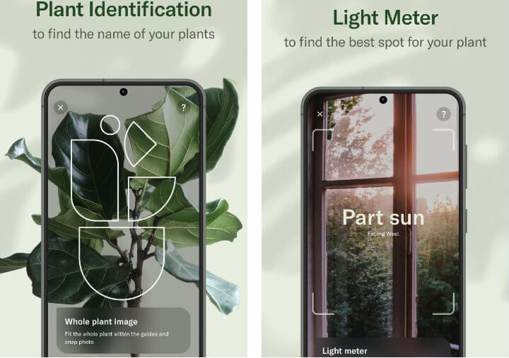 Imagen - 8 apps para cuidar tus plantas