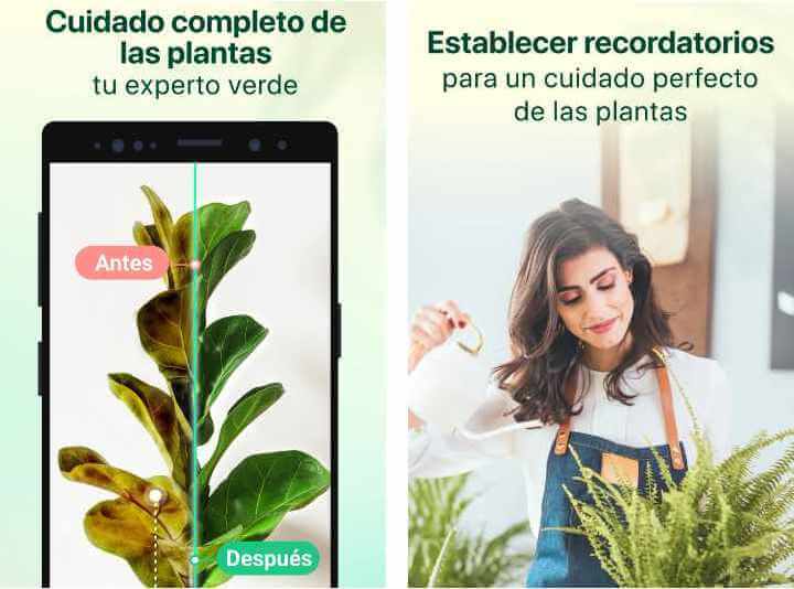 Imagen - 8 apps para cuidar tus plantas