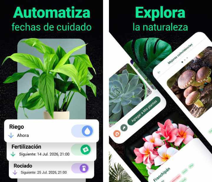 Imagen - 8 apps para cuidar tus plantas