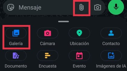 Imagen - C&oacute;mo crear GIFs propios en WhatsApp